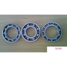 ball bearing 6313